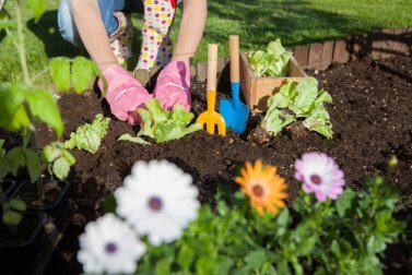 7 Möglichkeiten, Essig im Garten zu verwenden