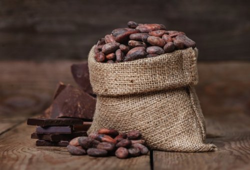 Kakao für trockene Haut