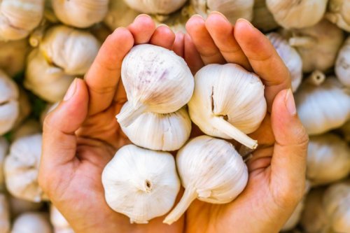 Knoblauch gegen Kopfpilz