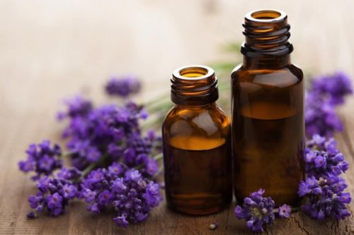 Lavendelöl als Heilmittel gegen Hallux Valgus