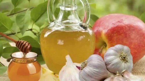 Weitere Beispiele für natürliche Antibiotika