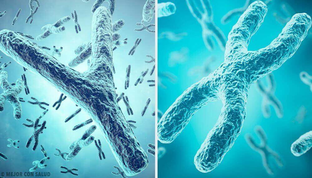 Der genetische Ursprung des Geschlechts