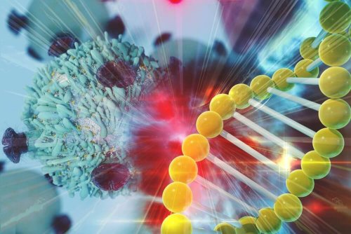 Der genetische Ursprung des Geschlechts Gen Dosis Kompensation