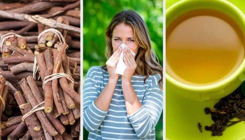 Natürliche Heilmittel gegen Rhinitis