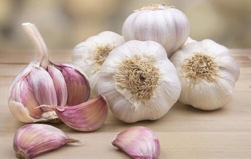 Gewichtsabnahme mit Hilfe von Knoblauchzehen