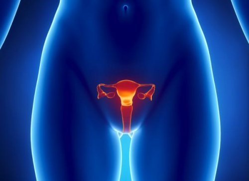Menstruationszyklus bei einer Frau mit 45 natürlich schwanger