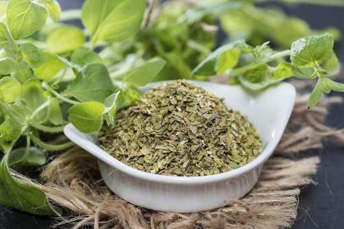Oregano lindert Verlangen nach Zigaretten