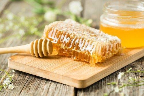 Propolis besteht aus Harz.