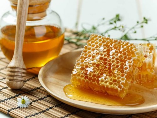 Propolis wird durch Bienen gewonnen.