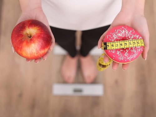 regelmäßige Mahlzeiten beugen Heißhunger vor