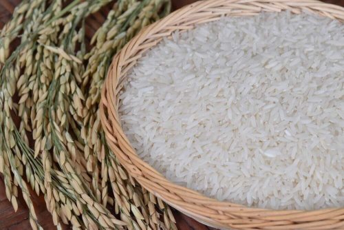 Reis gesund mit knappem Budget