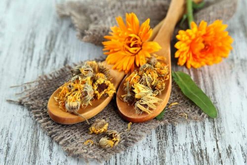 Ringelblume ist Mittel gegen vaginalen Juckreiz