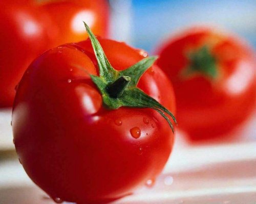 Tomaten für Reis mit Huhn