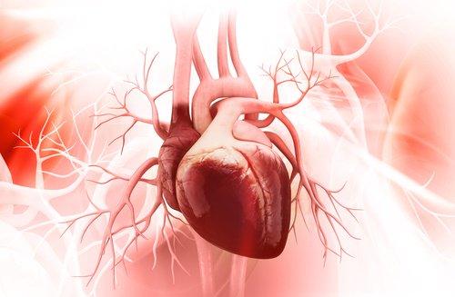 Vorhofflimmern ein Form der Arrhythmie