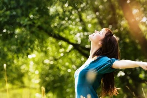 Die Suche nach Ikigai und im hier und jetzt leben
