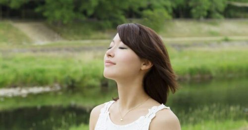 Die Suche nach Ikigai und dem glücklich sein