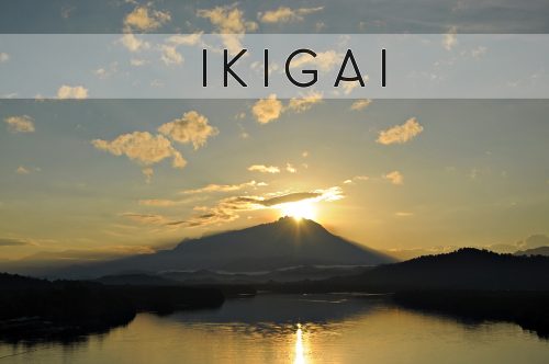 Die Suche nach Ikigai und gesundem Leben