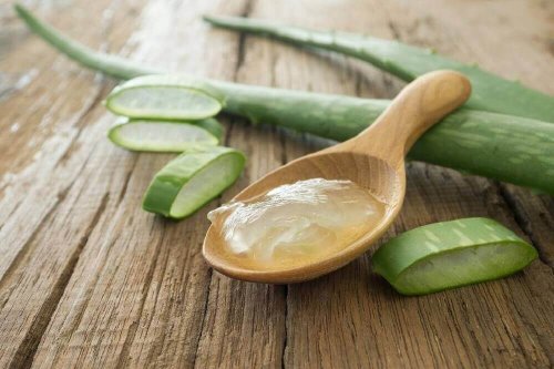 Aloe vera gegen trockene Haut