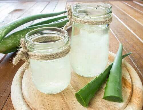 Pickel auf der Nase: Aloe Vera