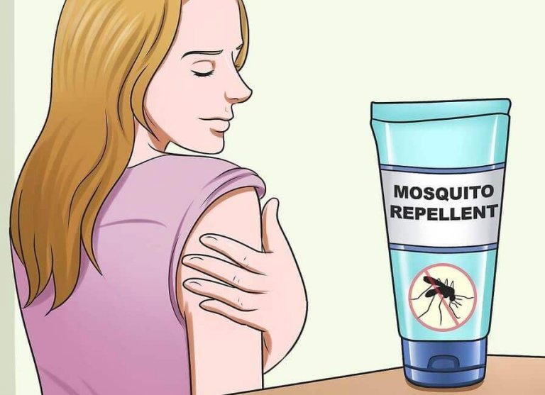 Selbstgemachter Mückenschutz