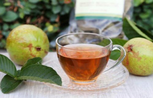 Guavenblätter-Tee für geschädigte Haare