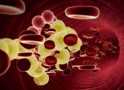 Kein Fleisch mehr und weniger Cholesterin