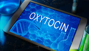Nebenwirkungen von dem Hormon Oxytocin