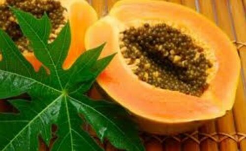 Papayablätter gegen niedrige Thrombozytenwerte