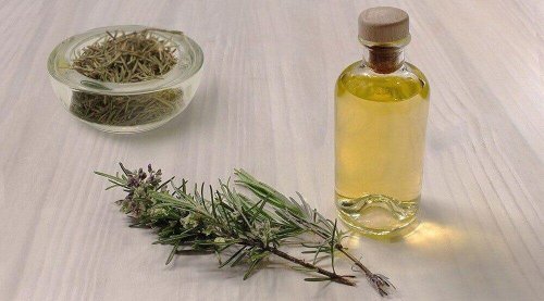 Ästherisches Rosmarinöl eignet sich gut für eine hausgemachte Pflegelotion