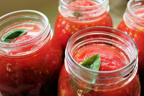 frisch pürierte Tomaten