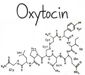 Was ist das Hormon Oxytocin?