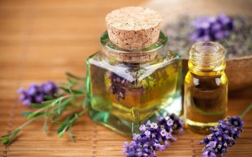 Lavendel für Aromatherapie
