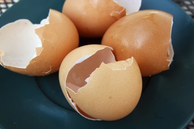 Das kannst du mit Eierschalen machen!