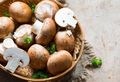 Gefüllte Pilze mit Käsefüllung