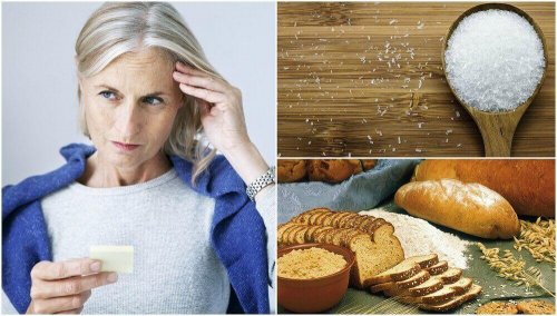Ungesunde Ernährung schädigt das Gehirn