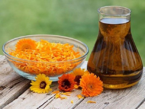Ringelblume wirkt gegen Ischias-Schmerz