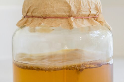 Fertiges Kombucha
