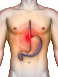 Natürliche Antazida gegen Reflux