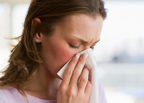 Ohne Frühstück leidet auch das Immunsystem