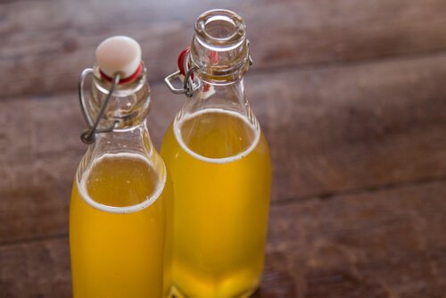 Kombucha Rezept