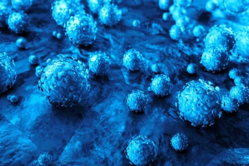 Menschlicher Papillom Virus