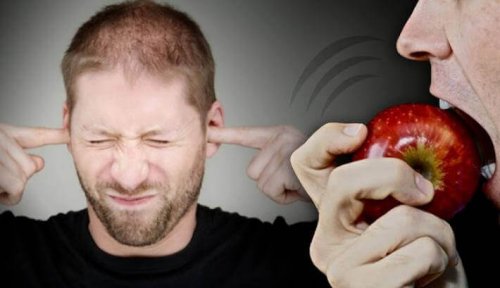Serotonin und Geräuschempfindlichkeit