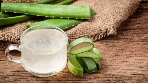 Aloe vera zur Behandlung von Gerstenkörnern