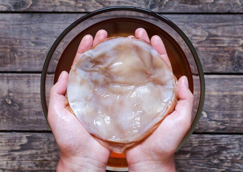 Wie macht man Kombucha