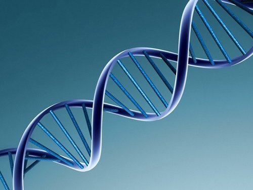Unterschied zwischen eineiigen und zweieiigen Zwillingen: Die DNA