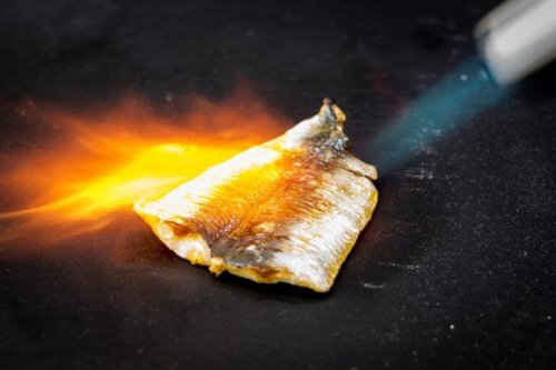 Fisch-Gratin kann man ohne Ofen zubereiten