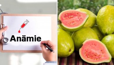 Entdecke die erstaunlichen Eigenschaften der Guave