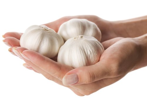 Knoblauch in der Gesundheitsvorsorge