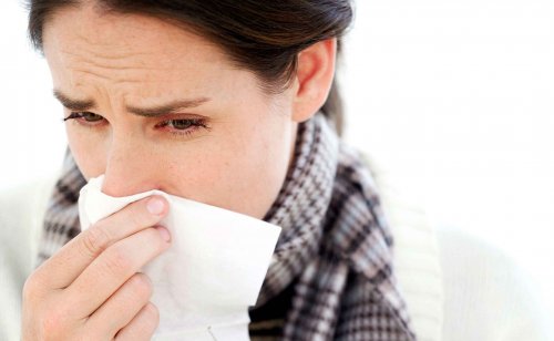 Lebensmittel können Grippe vorbeugen