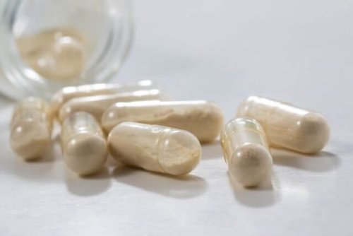 Wirkung von Probiotika ist nachgewiesen